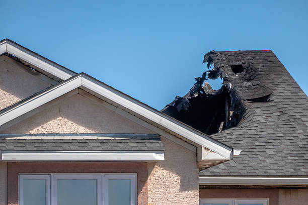 Licensed Fire Damage Removal service in Stanchfield, MN - Fire Damage Biloxi