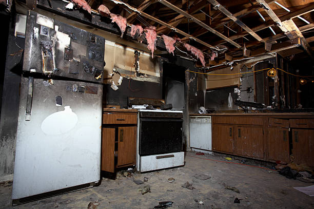 Affordable Fire Damage Removal solutions in Stanchfield, MN